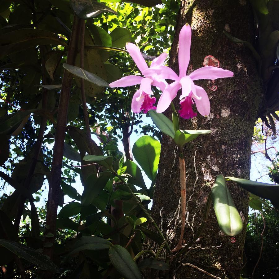 Отель Canto Da Lagoa Ibiraquera Имбитуба Экстерьер фото